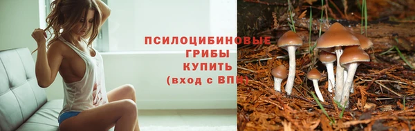 прущий лед Тольятти