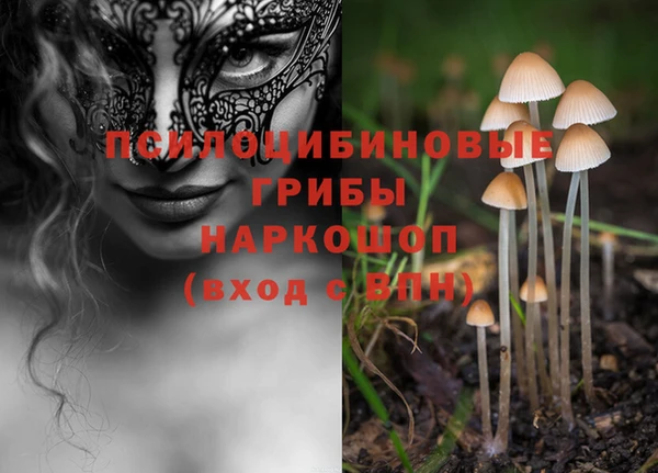 прущий лед Тольятти