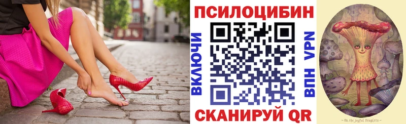 Псилоцибиновые грибы Cubensis  где купить наркоту  Белый 